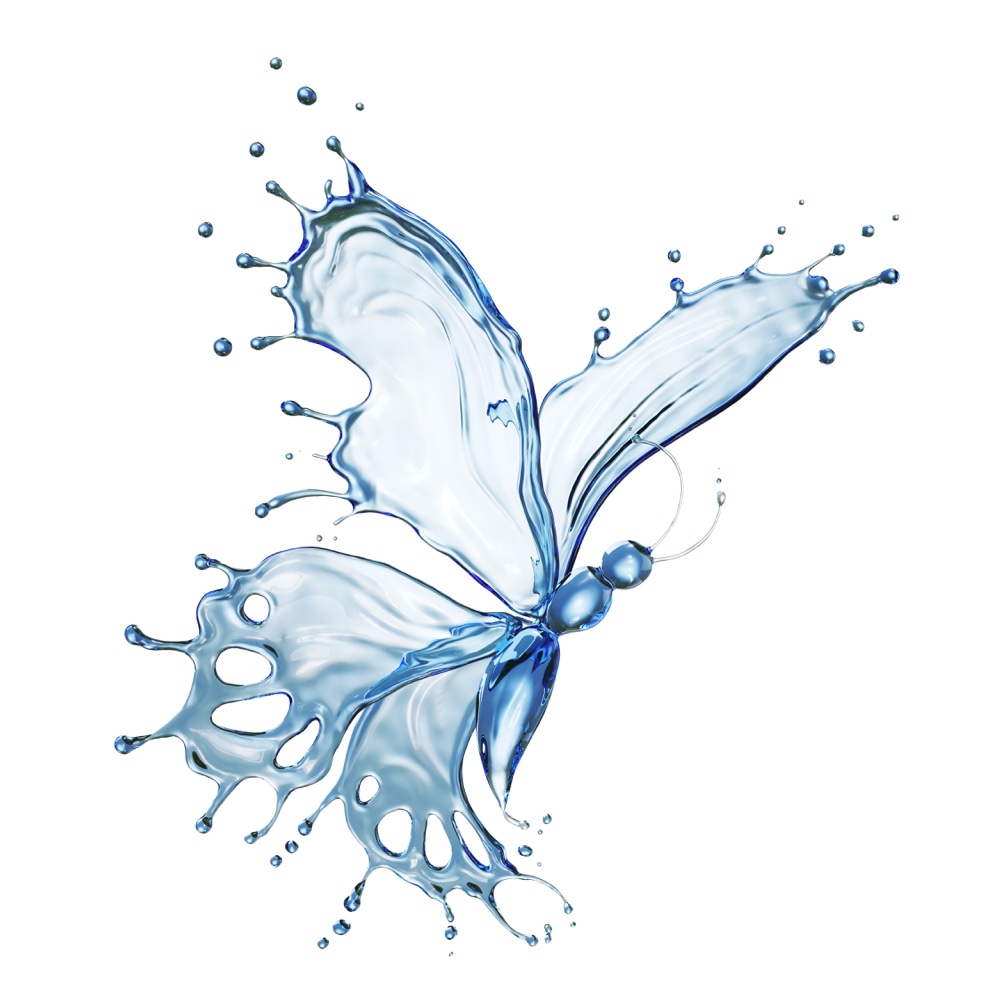 A white butterfly over calm water
